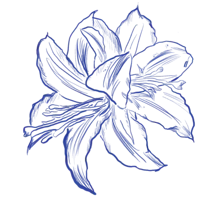 Top right blue flower